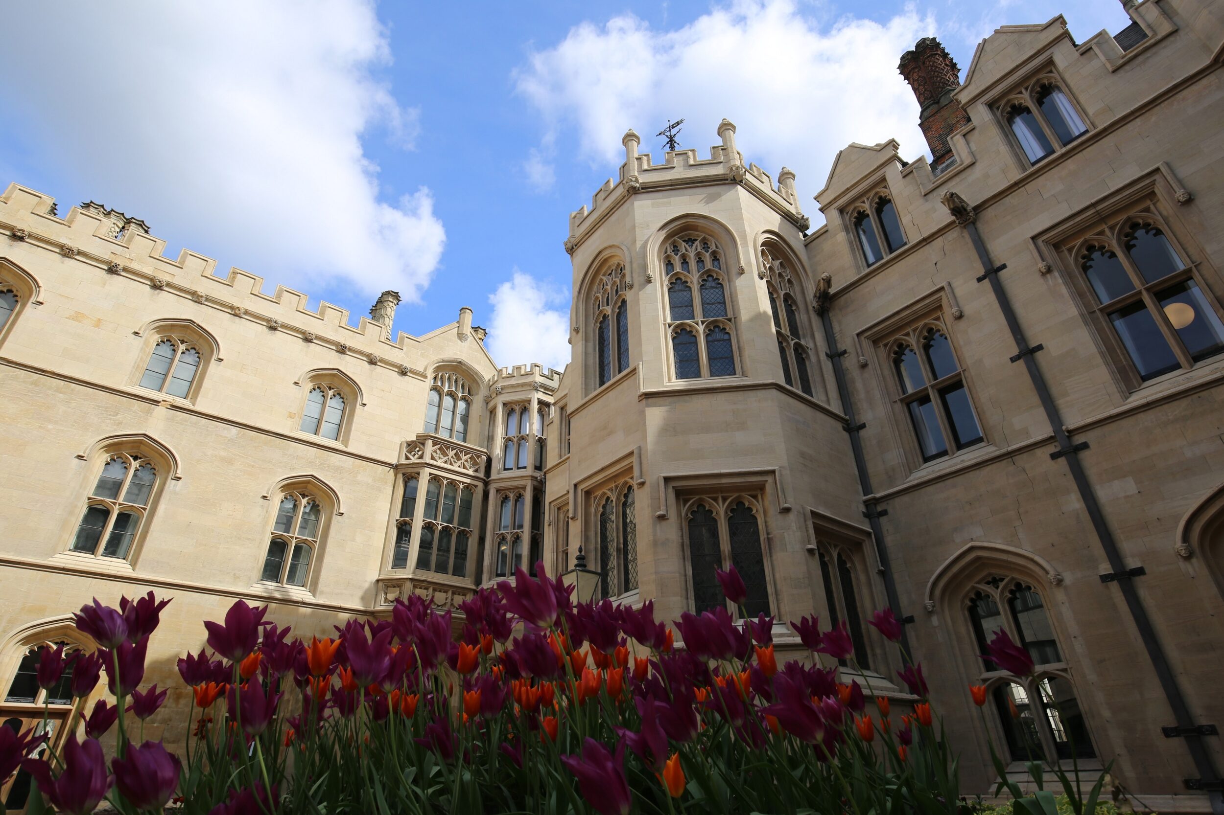 tabulo kings college university of queensland